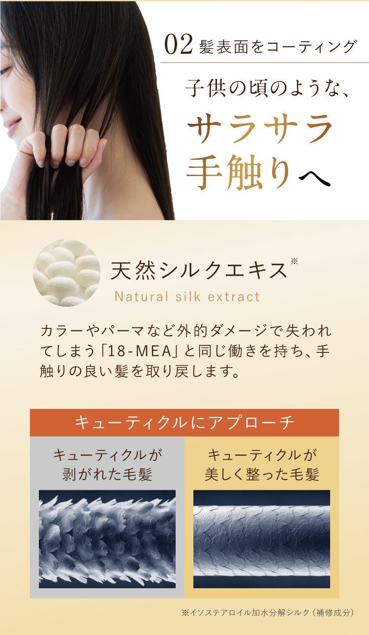 成分説明