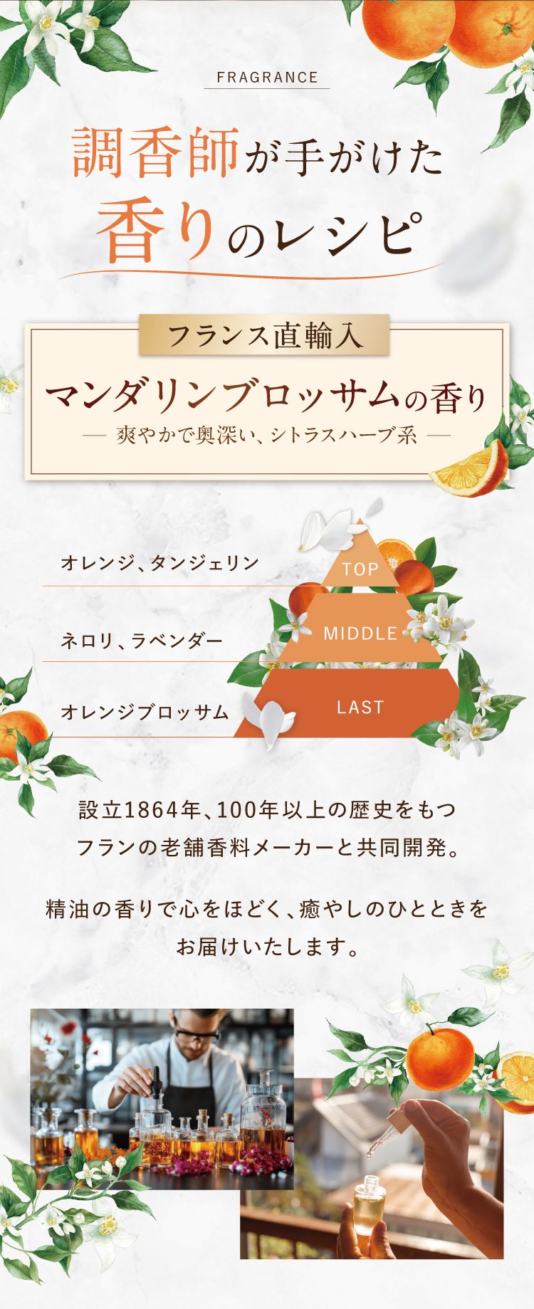 モニターテスト